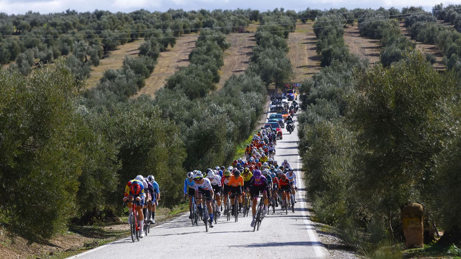Clásica Jaén Paraíso Interior 2025 en directo por Teledeporte y RTVE Play.