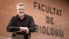 David Bueno, experto en neuroeducación: "El estrés está formando a personas más impulsivas"