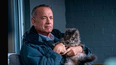 Tom Hanks es un borde, antipático e insoportable, pero te vas a enamorar de él en 'El peor vecino del mundo'