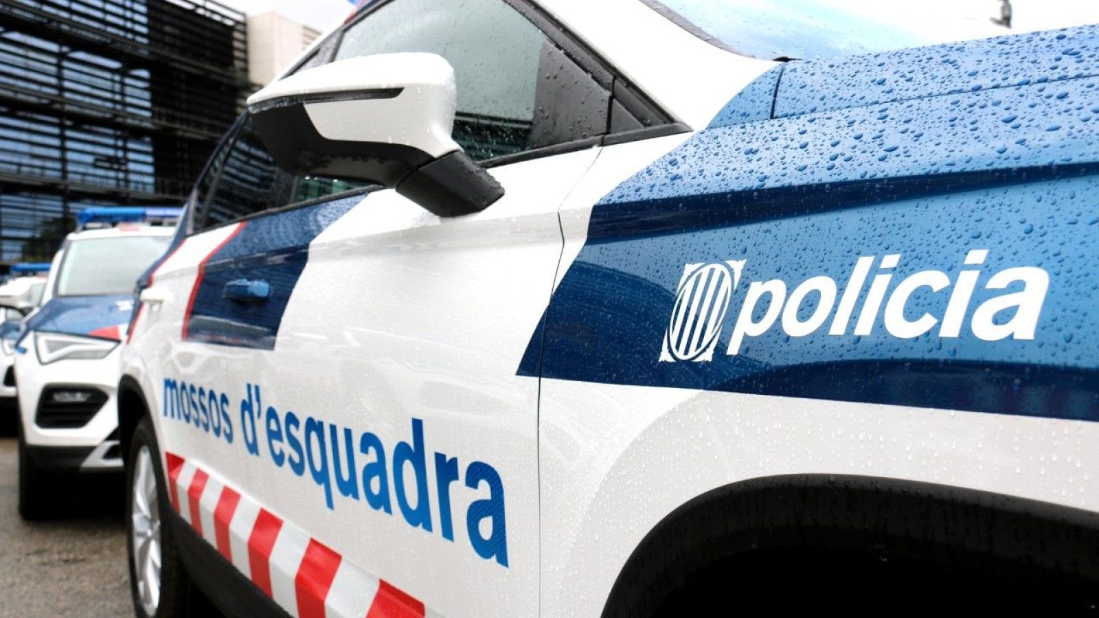 Els Mossos d'Esquadra han obert una investigació per esclarir els fets
