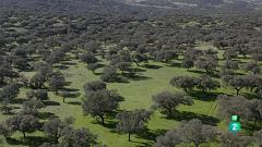 5 llocs de la província de Badajoz que no et pots perdre a la teva ruta històrica
