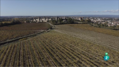 Els vins de Bordeus: tradició i innovació enològica a França
