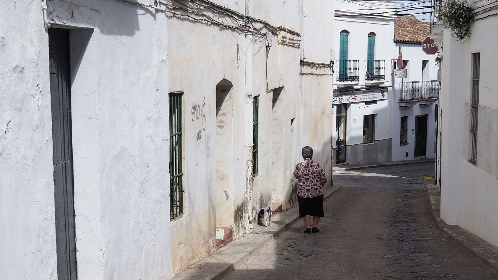 Un terremoto de magnitud 4,1 sacude Sevilla y tres provincias más