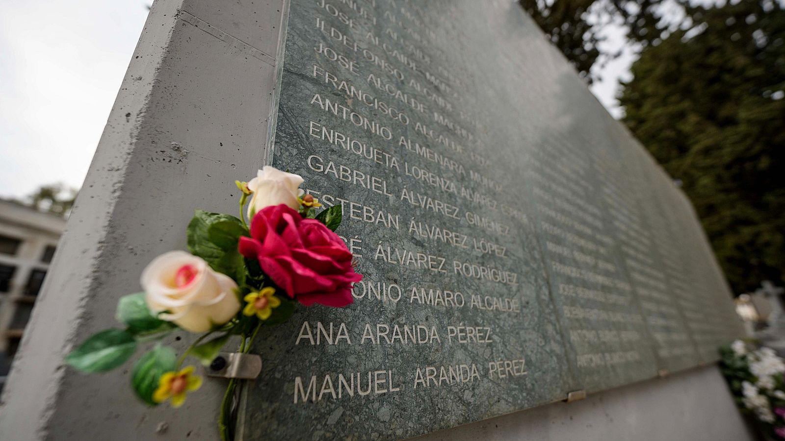 Una de las fosas comunes que hay en dos de los cementerios de Córdoba con los restos de 3.152 personas represaliadas por el franquismo