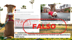 Ley de Bienestar Animal: el Gobierno no planea un impuesto estatal de 1.400 euros por tener perro, es falso