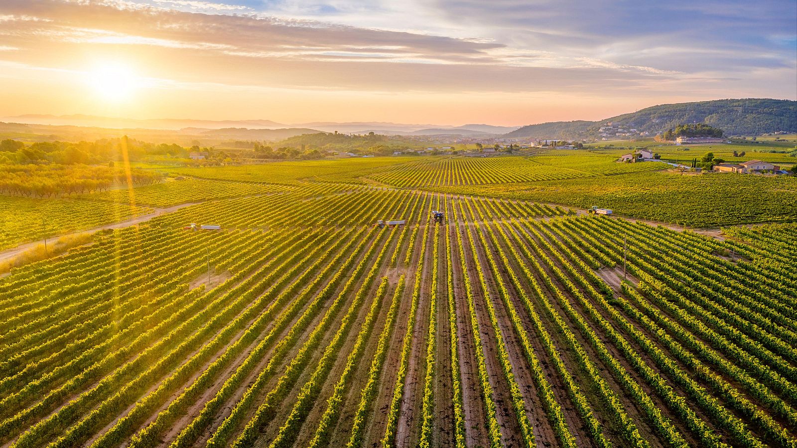 Trump anuncia aranceles a las importaciones de productos agrícolas desde el 2 de abril