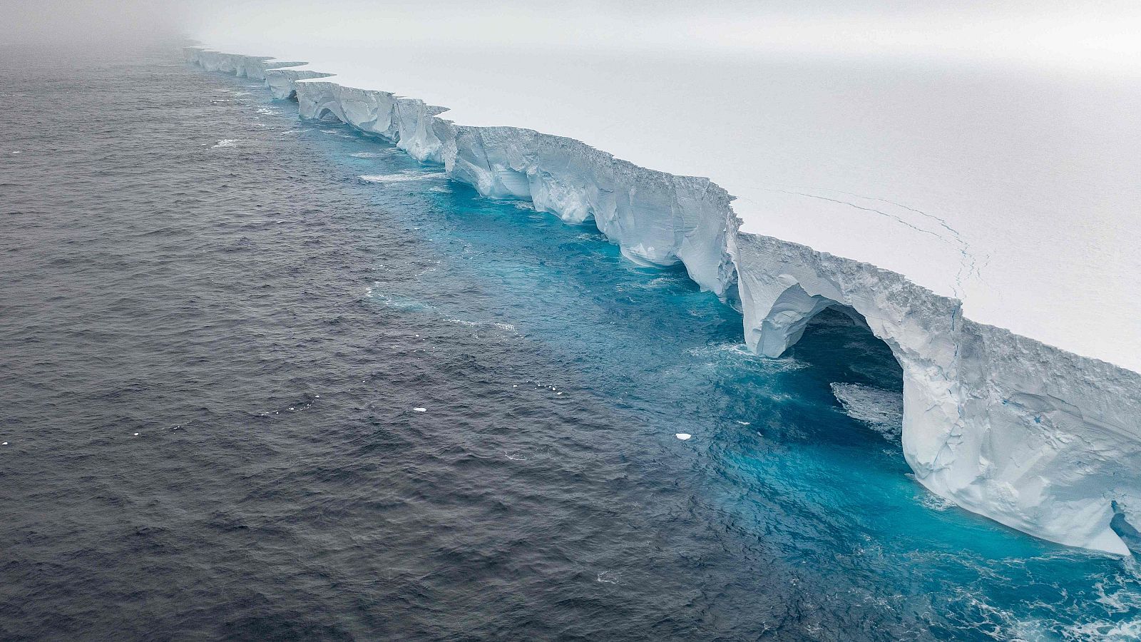 El iceberg A23a encalla en Georgia del Sur.
