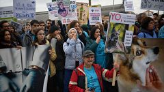 Dos mil veterinarios se manifiestan en Madrid para pedir una regulación "justa" de medicamentos para animales
