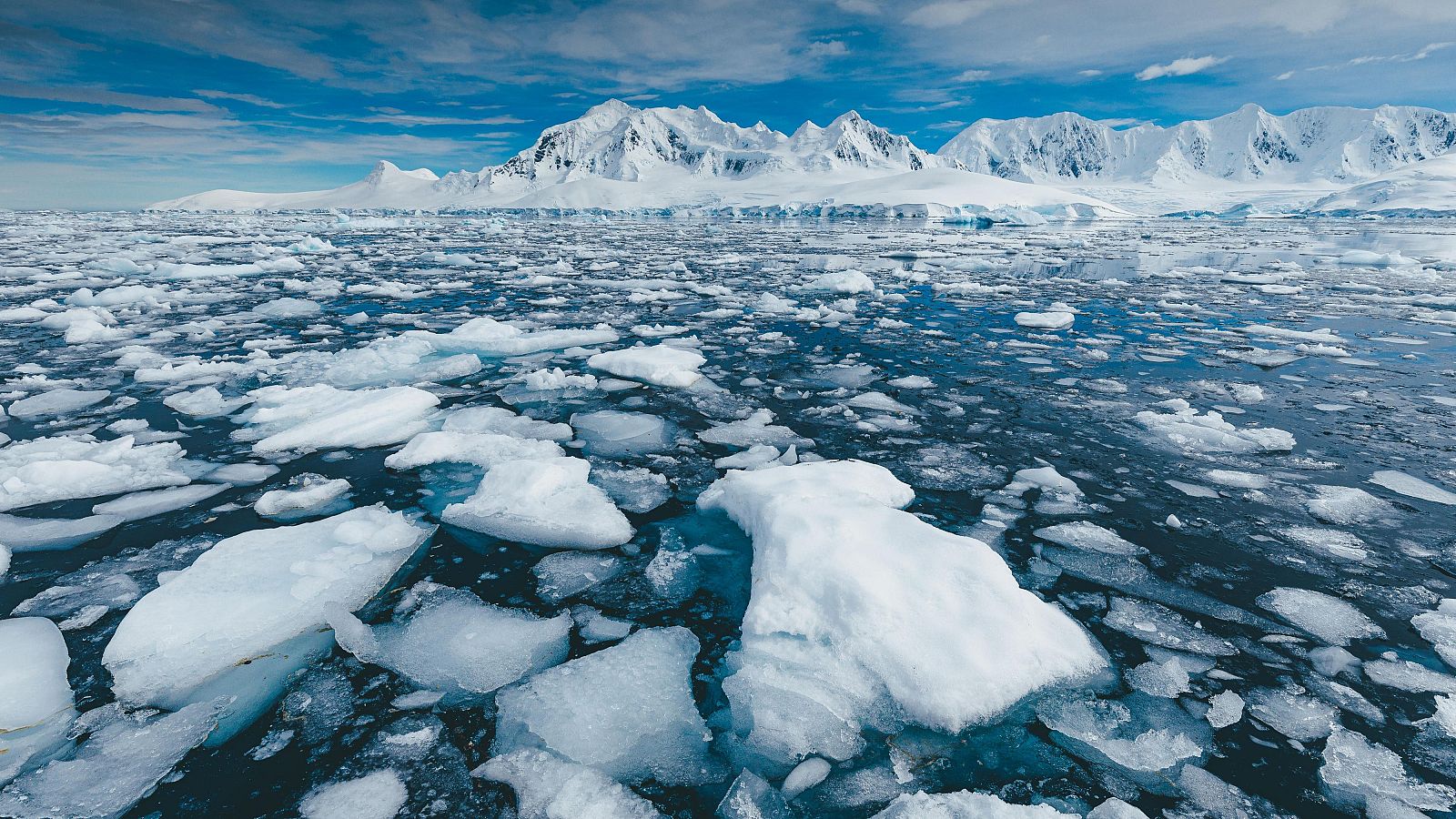 Hielo marino en la Antártida en una imagen de archivo
