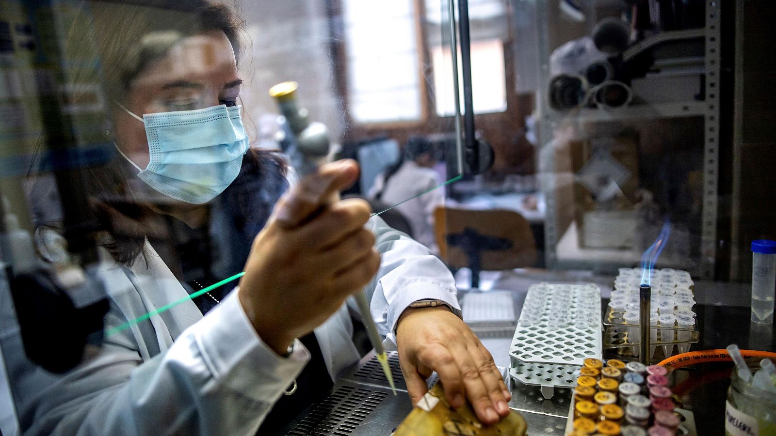 Buenas noticias de la semana del 3 al 9 de marzo: Cada vez hay más mujeres científicas