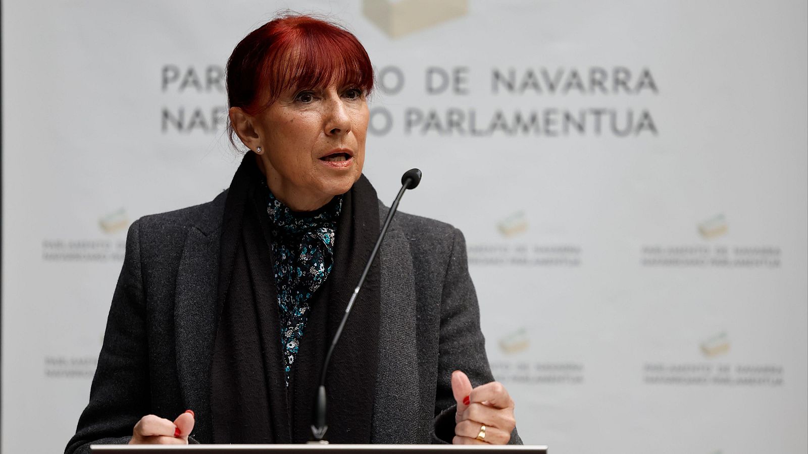 El grupo parlamentario de Vox en Navarra se disuelve tras la salida de una diputada por discrepancias con el partido