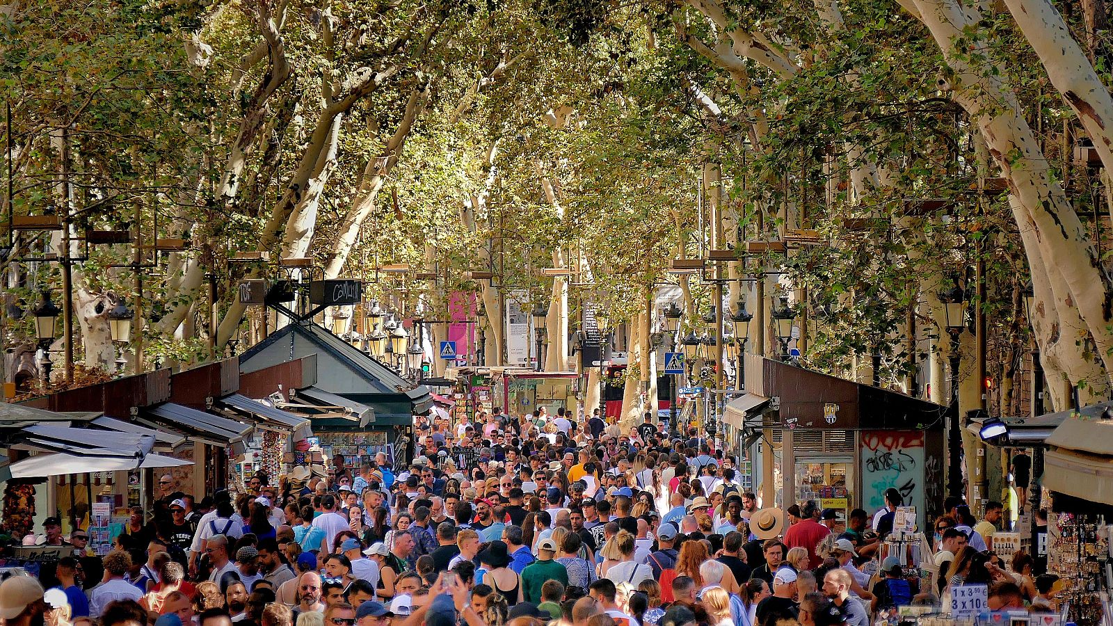 El Constitucional avala la ley catalana de 2023 que limita los apartamentos turísticos