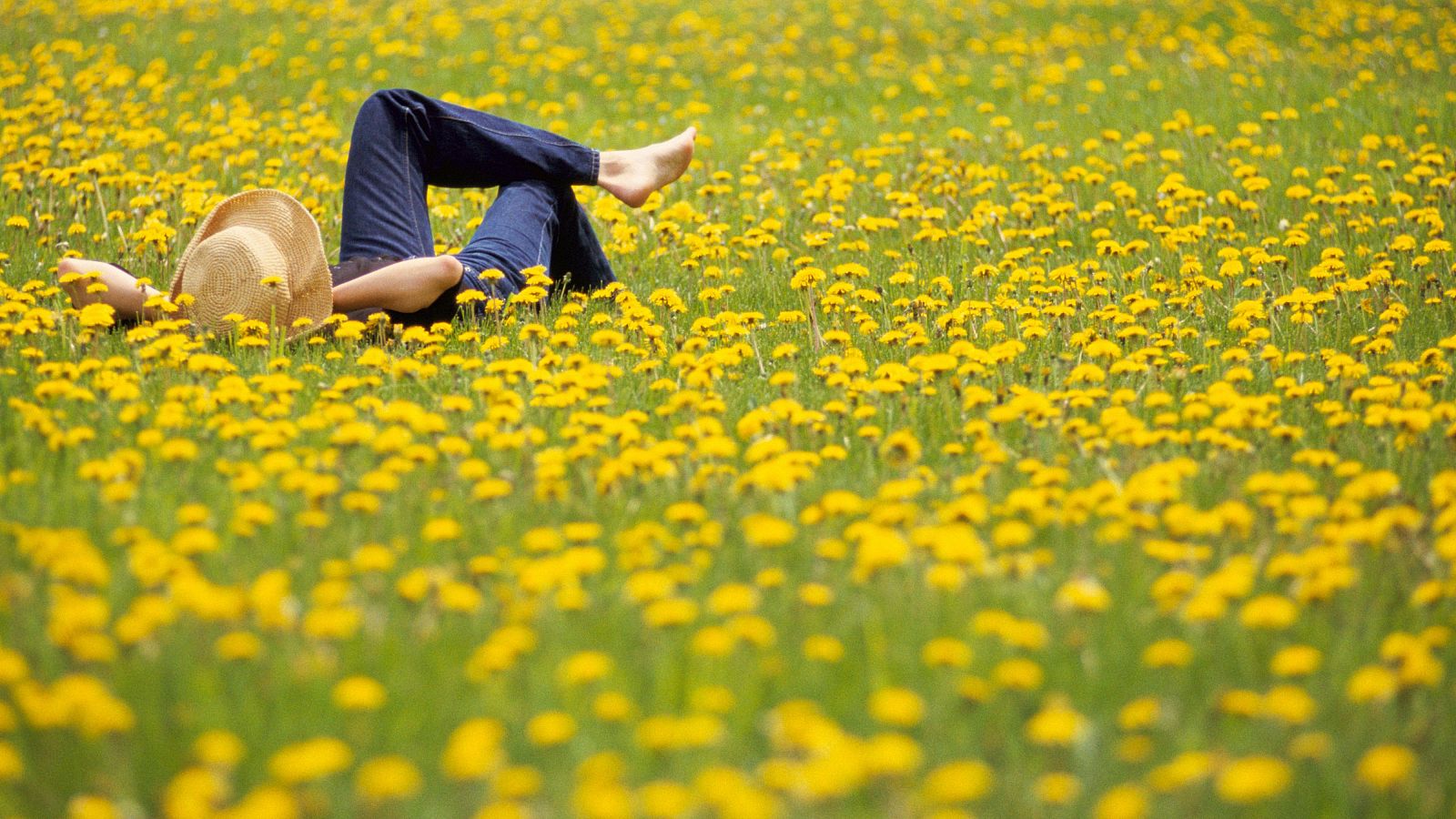 Primavera astronómica 2025.