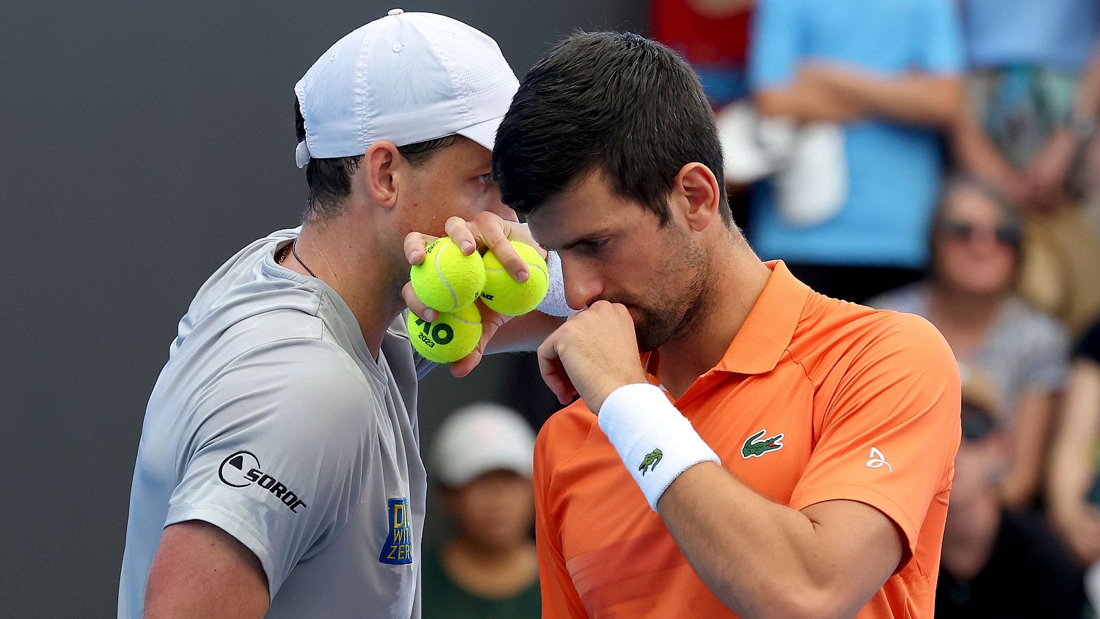 Vasek Pospisil y Novak Djokovic - sindicato tenistas