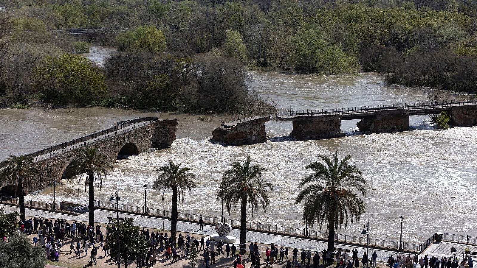 Cultura activa el plan de emergencias de patrimonio para reconstruir el puente de Talavera.