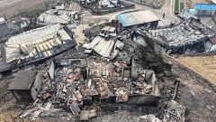 Al menos 24 muertos en los incendios forestales en Corea del Sur