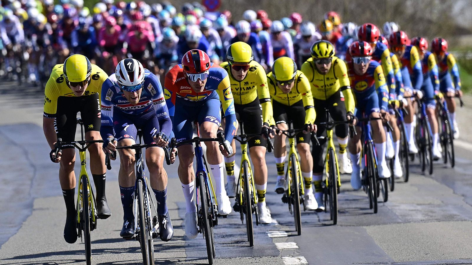 El pelotón en una carrera ciclista