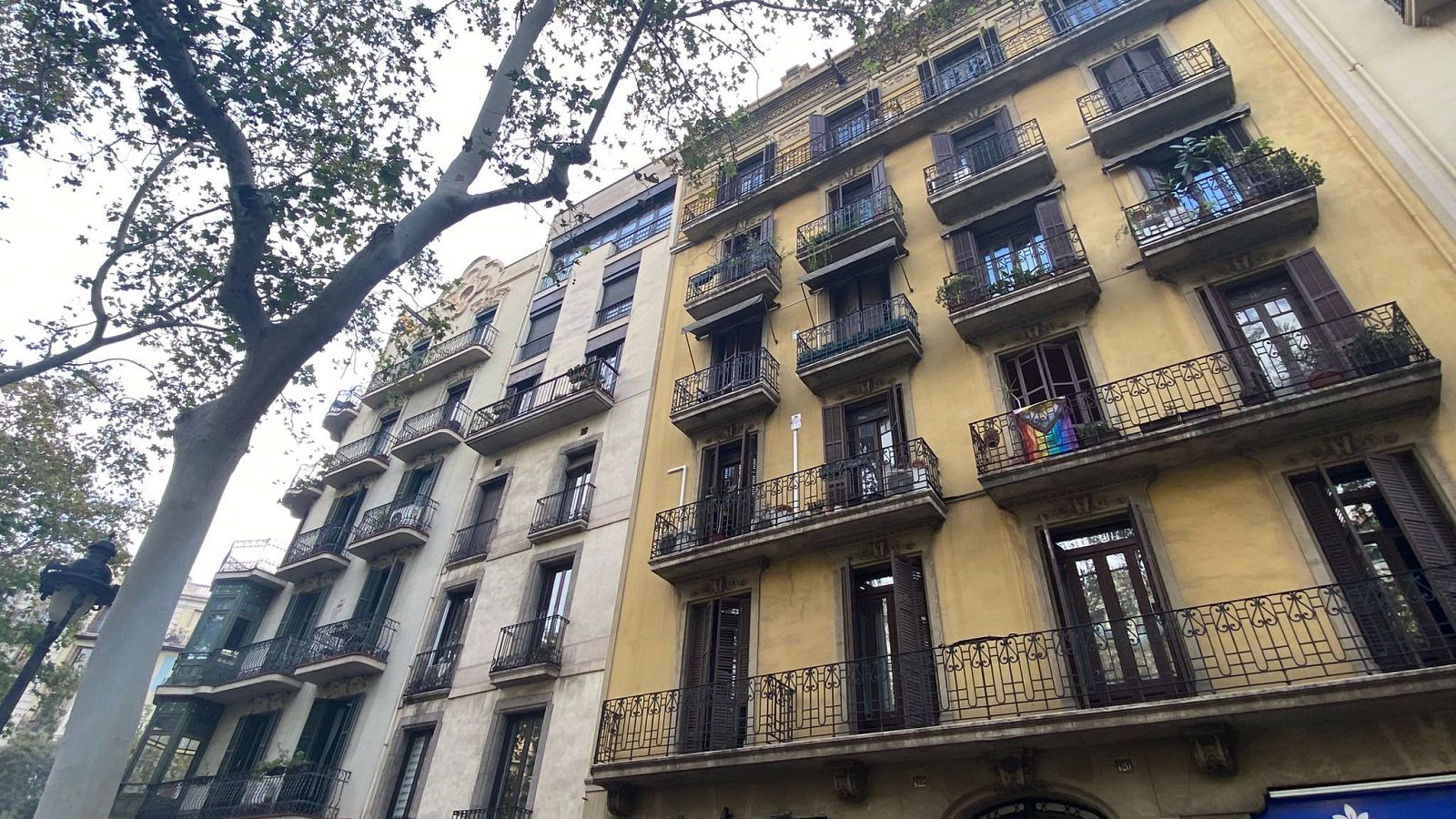 El 26 de maig de 2023 va entrar en vigor la Llei d'Habitatge