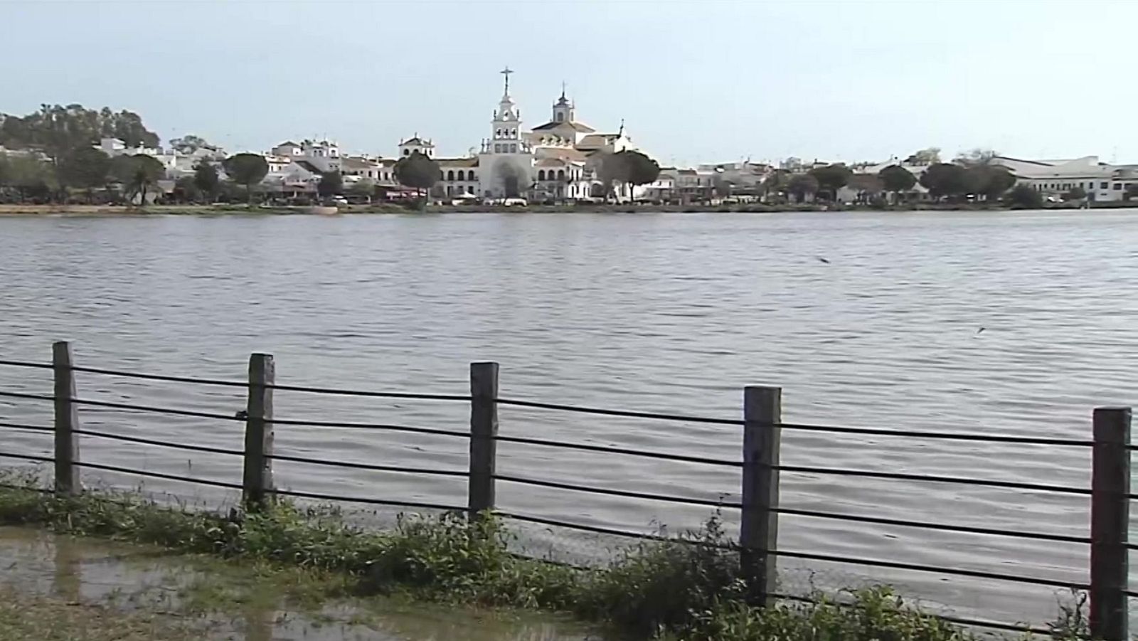 Buenas noticias de la semana del 24 al 30 de marzo: Apogeo de los humedales en Daimiel y Doñana