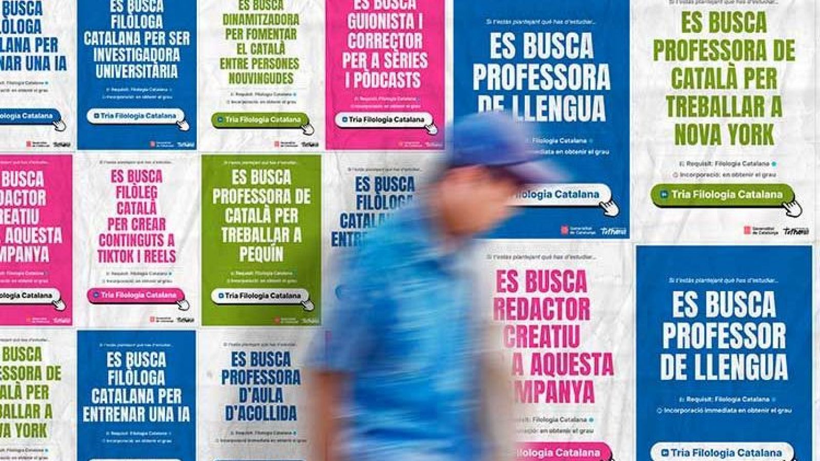 El Departament de Política Lingüística oferirà 25 beques a partir del curs 2025-2026