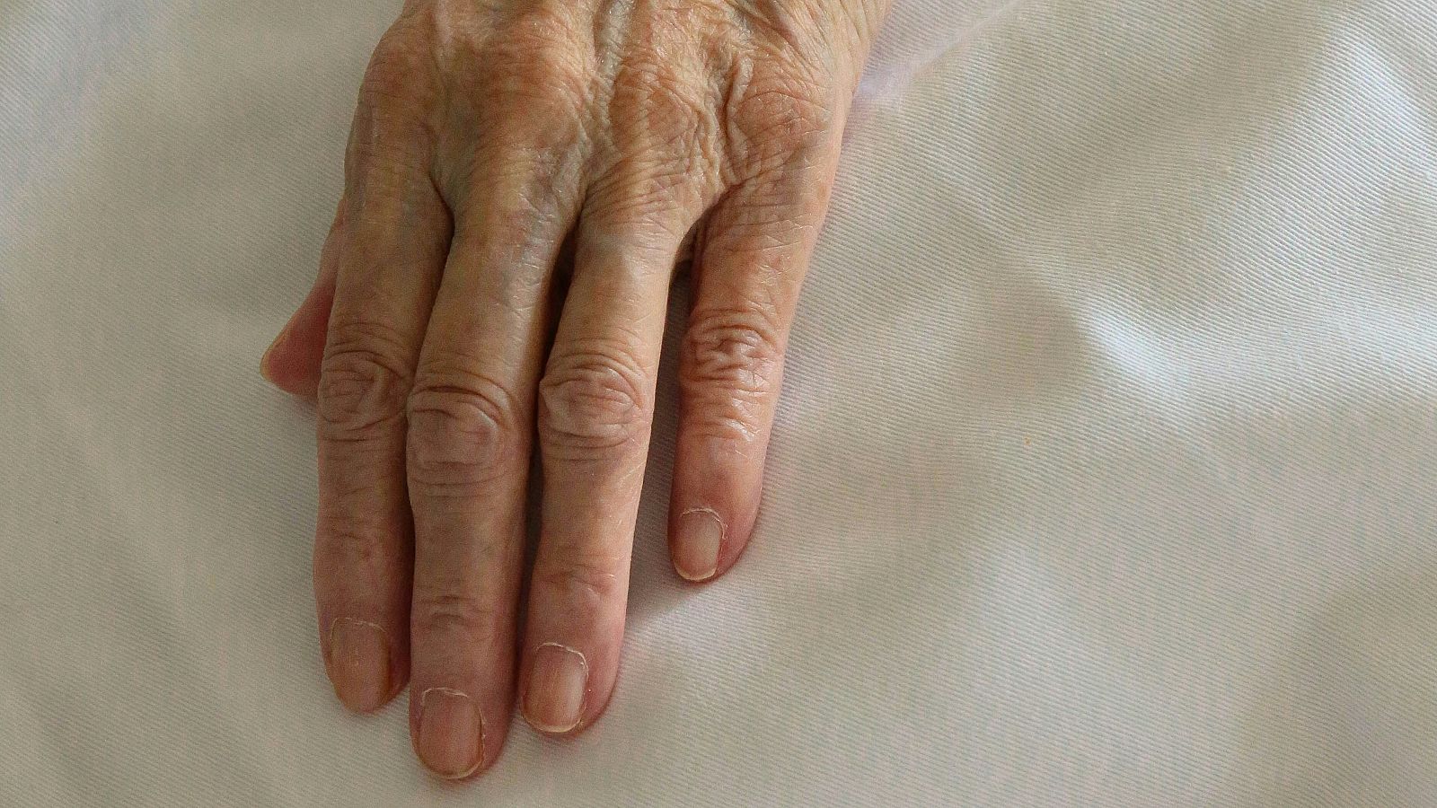 L'eutanàsia augmenta un 51% en 2024 amb 142 prestacions (bruce tang | unsplash)