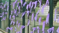 Un total de 183.908 mujeres fueron víctimas de violencia machista en 2024 en España, menos que en 2023