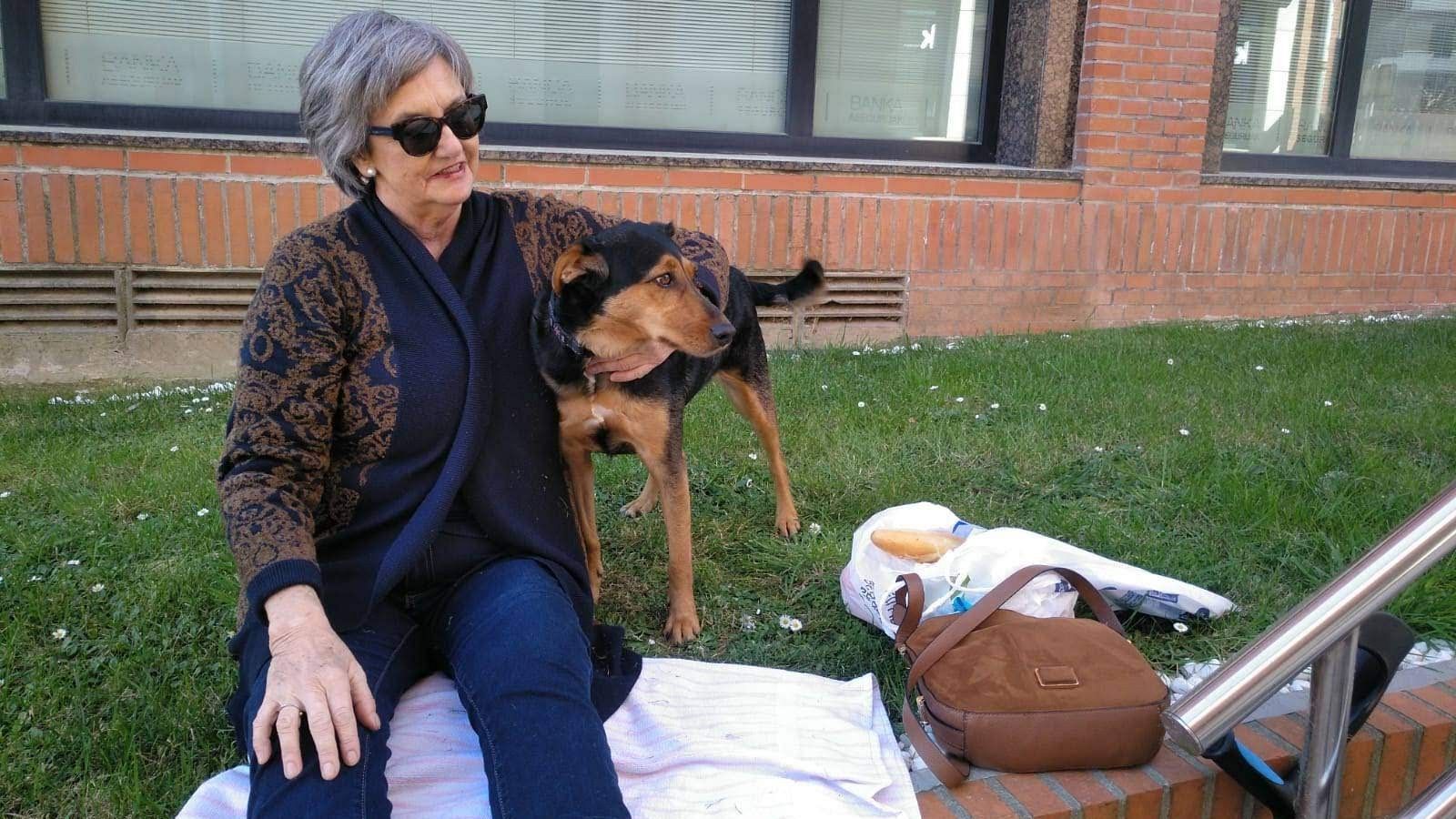 El desigual acceso de perros al metro en España