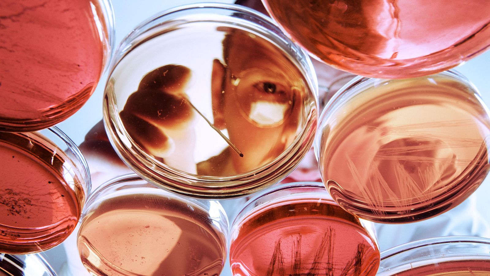 Programa Atrae para científicos de EE.UU.