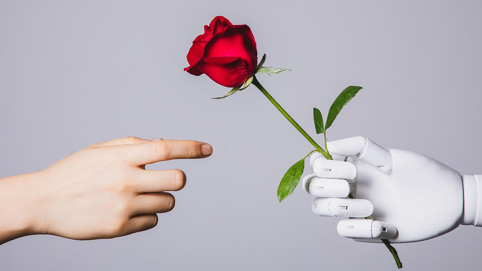 Amor entre un humà i la intel·ligència artificial: és possible?