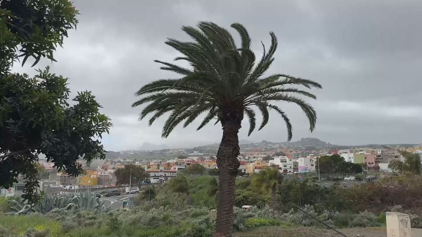 Tiempo en alerta por viento muy fuerte en Canarias