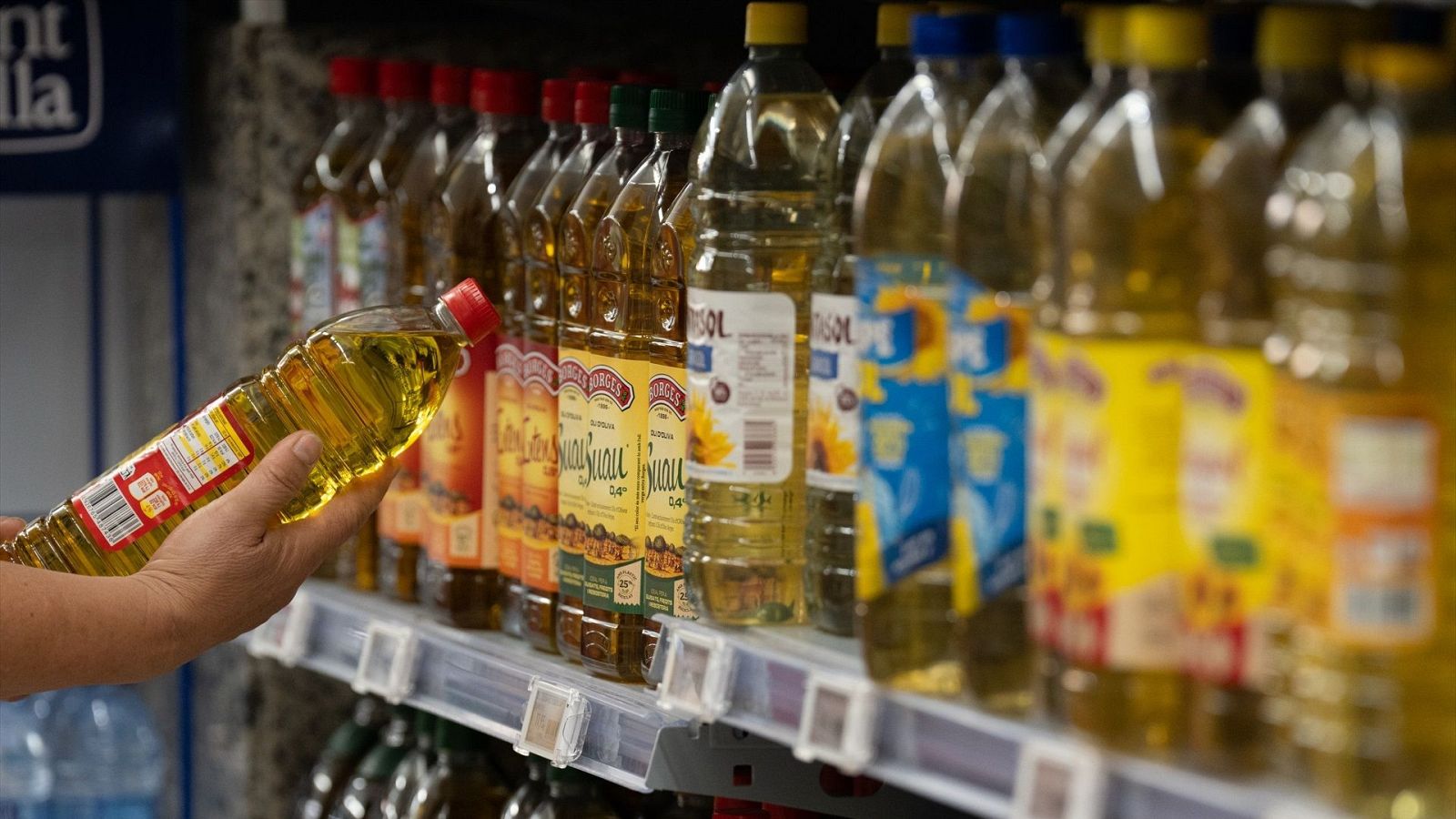 Facua denuncia que seis grandes cadenas continúan pactando los precios del aceite de oliva