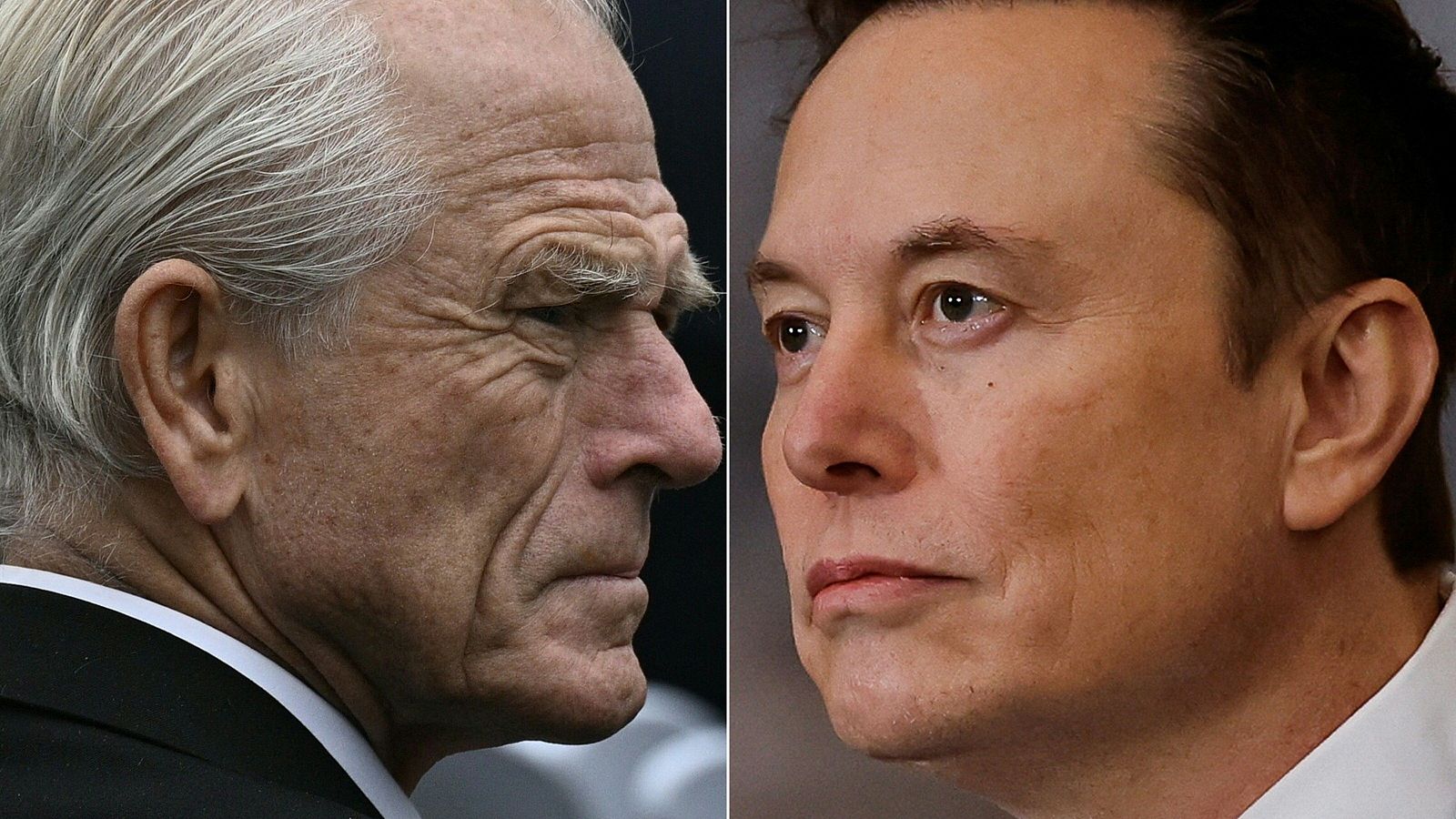 El asesor de Comercio y Manufacturas de Donald Trump, Peter Navarro, y el magnante Elon Musk