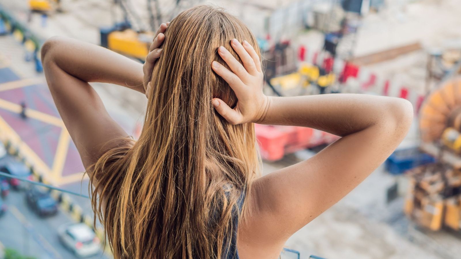 Día Internacional de Concienciación sobre el Ruido en 'Memoria de delfín'