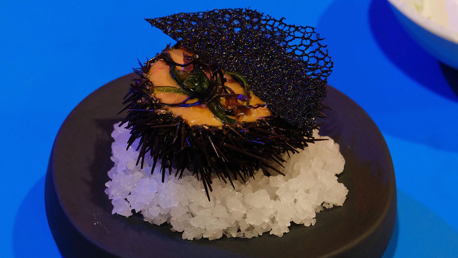 Receta de espuma templada de erizos de mar y coral crujiente de tinta de calamar de MasterChef 12+1