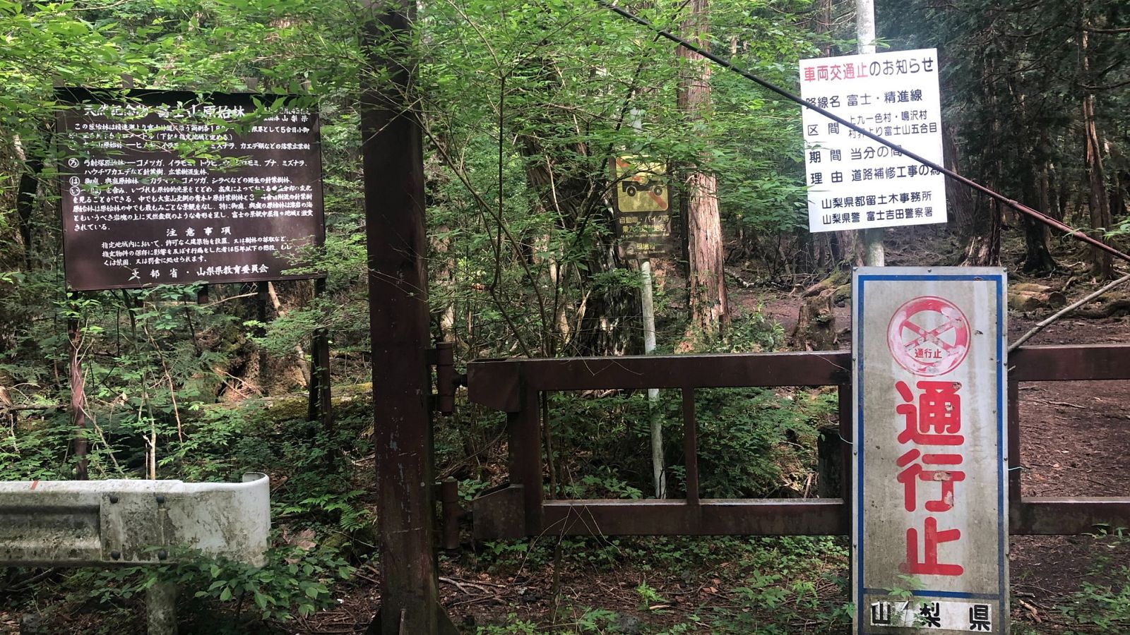 Situado al noroeste de la base del monte Fuji, el bosque Aokigahara es conocido como 'Bosque de los suicidios'.