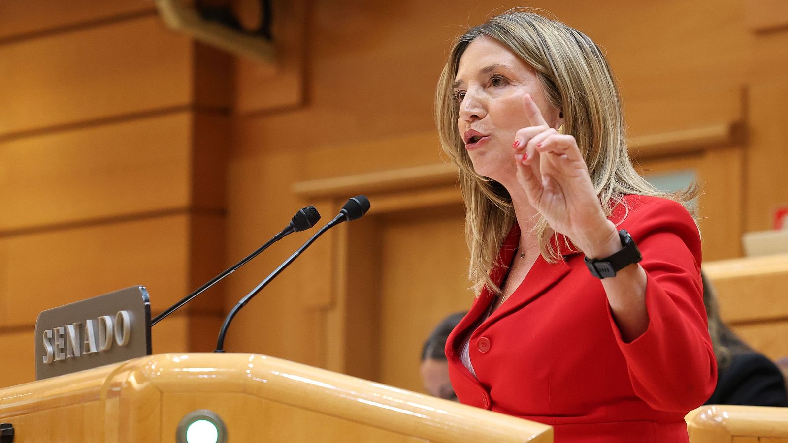 La portavoz del PP en el Senado, Alicia García