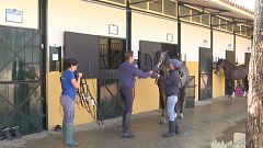 El sector equino cabalga hacia cifras históricas: mueve 7.400 millones de euros al año y genera 150.000 empleos