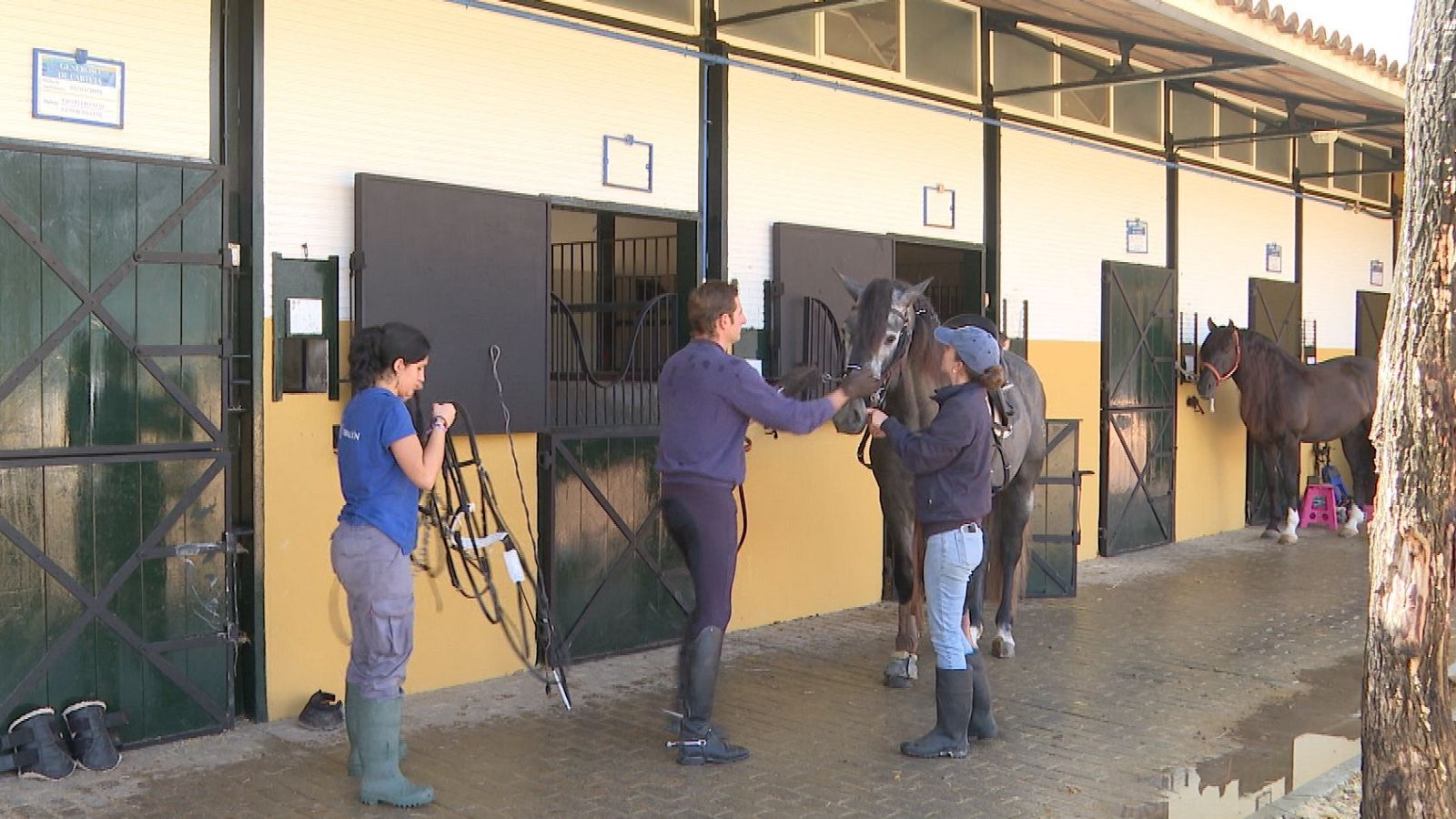 El sector equino florece en España