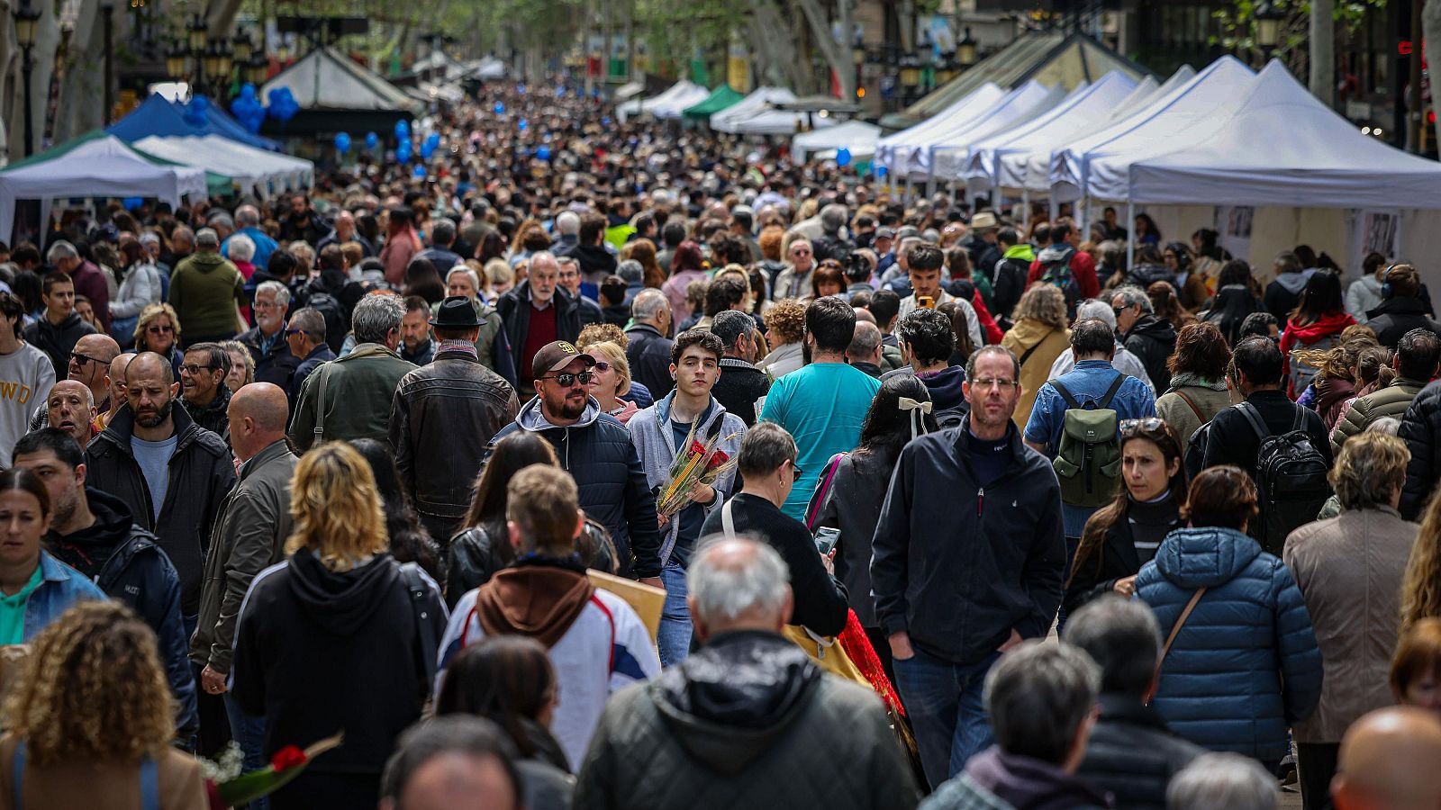 La Rambla de Barcelona per Sant Jordi des de la font de Canaletes