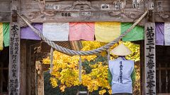 La ruta dels 88 temples: un viatge espiritual per l'illa de Shikoku, al Japó