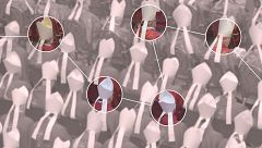 Quiénes son los cardenales favoritos en las quinielas para ser papa, según los medios internacionales