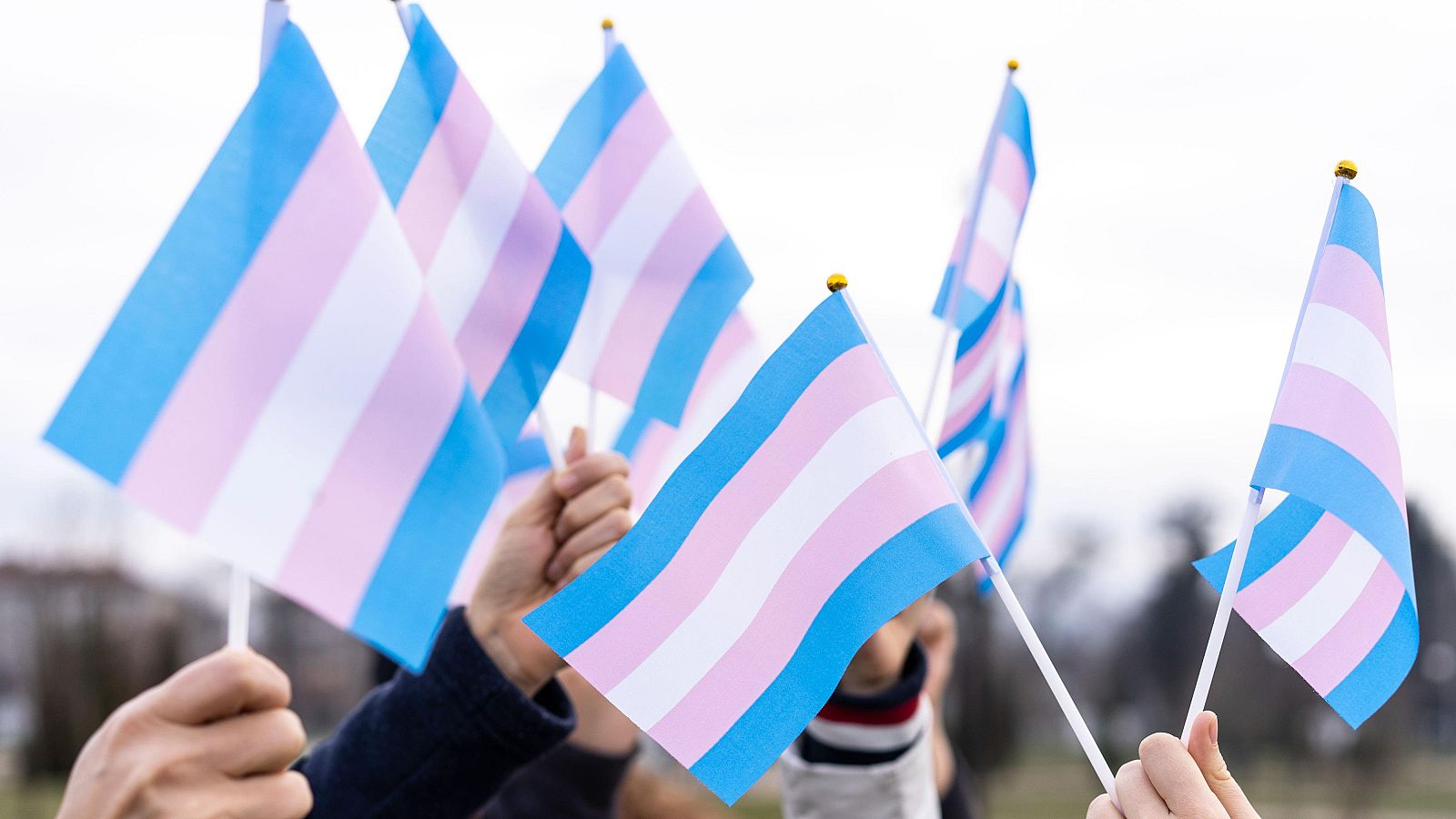 El TC aplaza su decisión sobre la ley trans