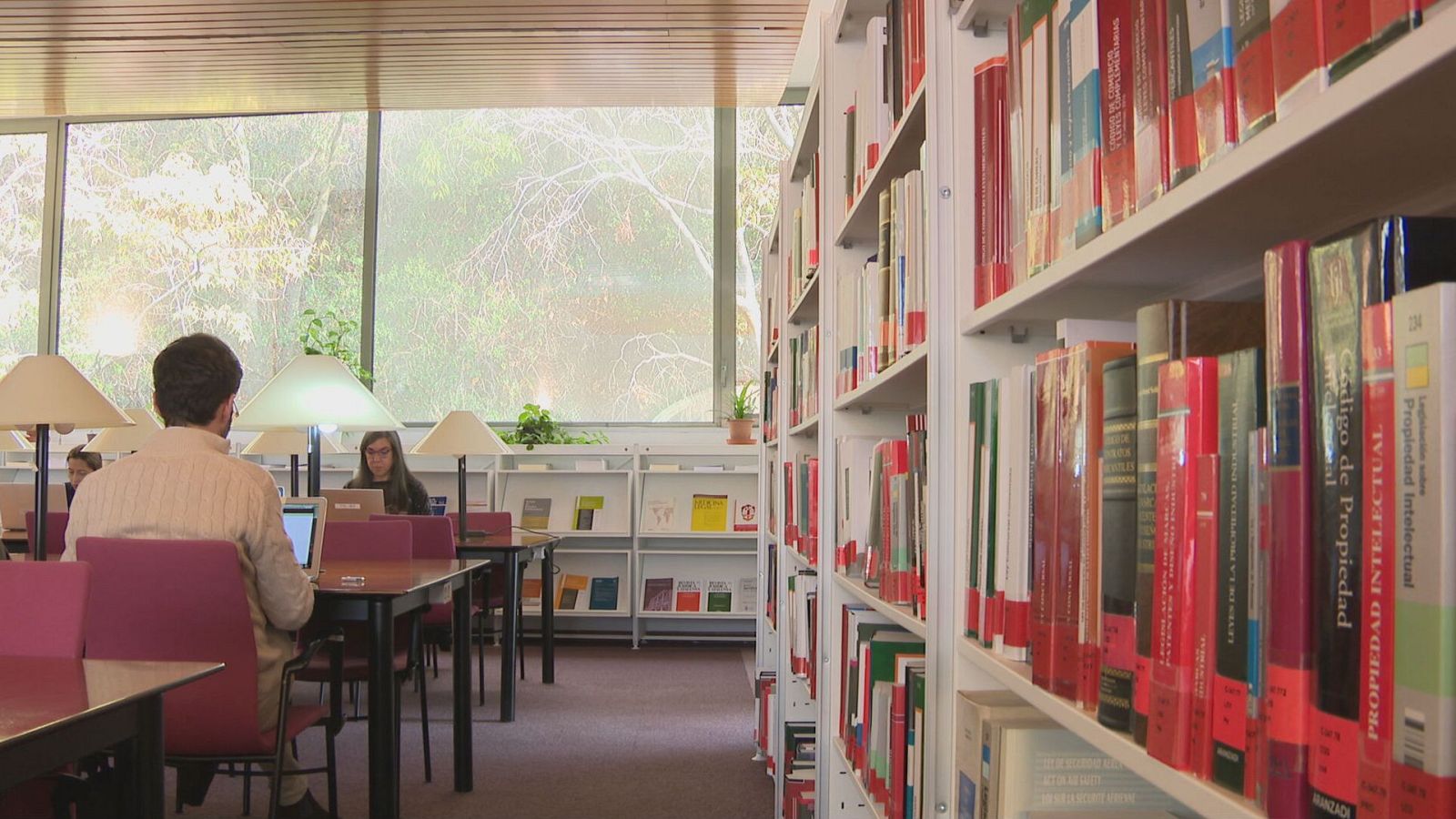 Imatge d'una biblioteca on habitualment es preparan molts opositors