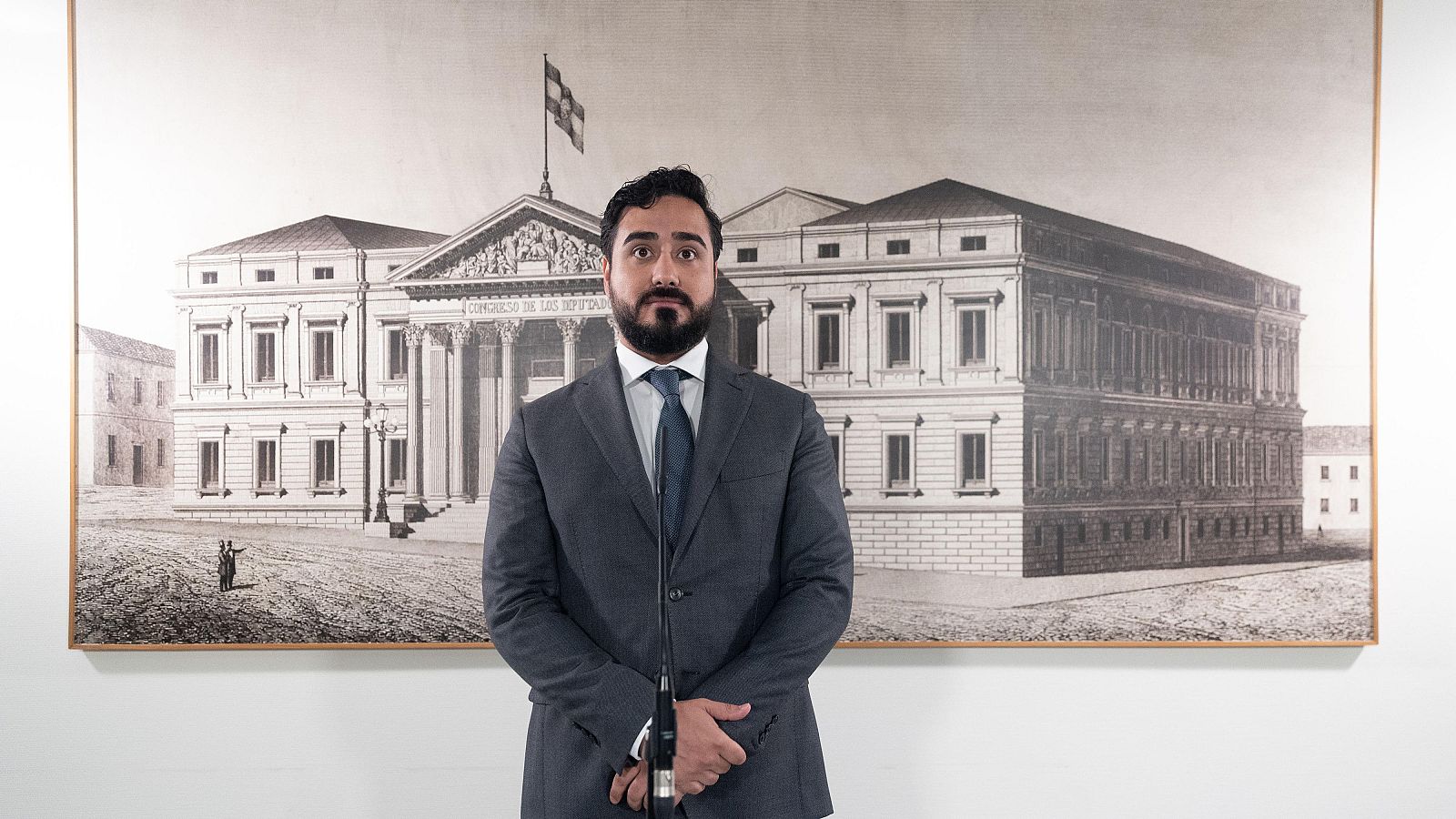 El eurodiputado y líder de Se Acabo la Fiesta, Luis 'Alvise' Pérez, ofrece una rueda de prensa en el Congreso