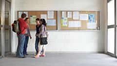La mayoría de universitarios logra empleos acordes a sus estudios y altamente cualificados