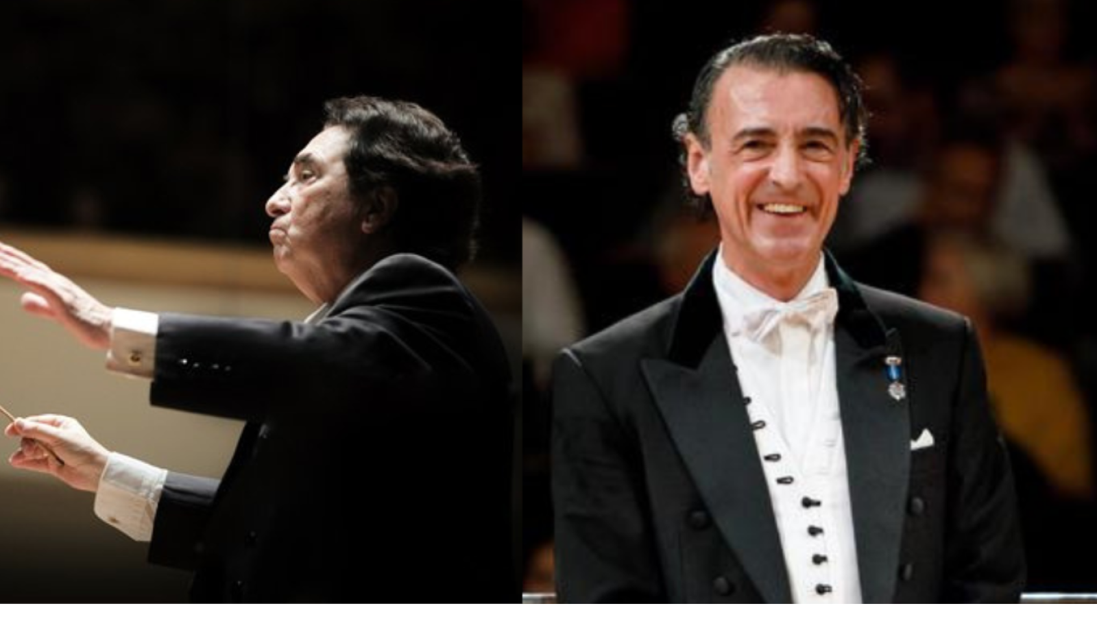 Diseño sin título - 1