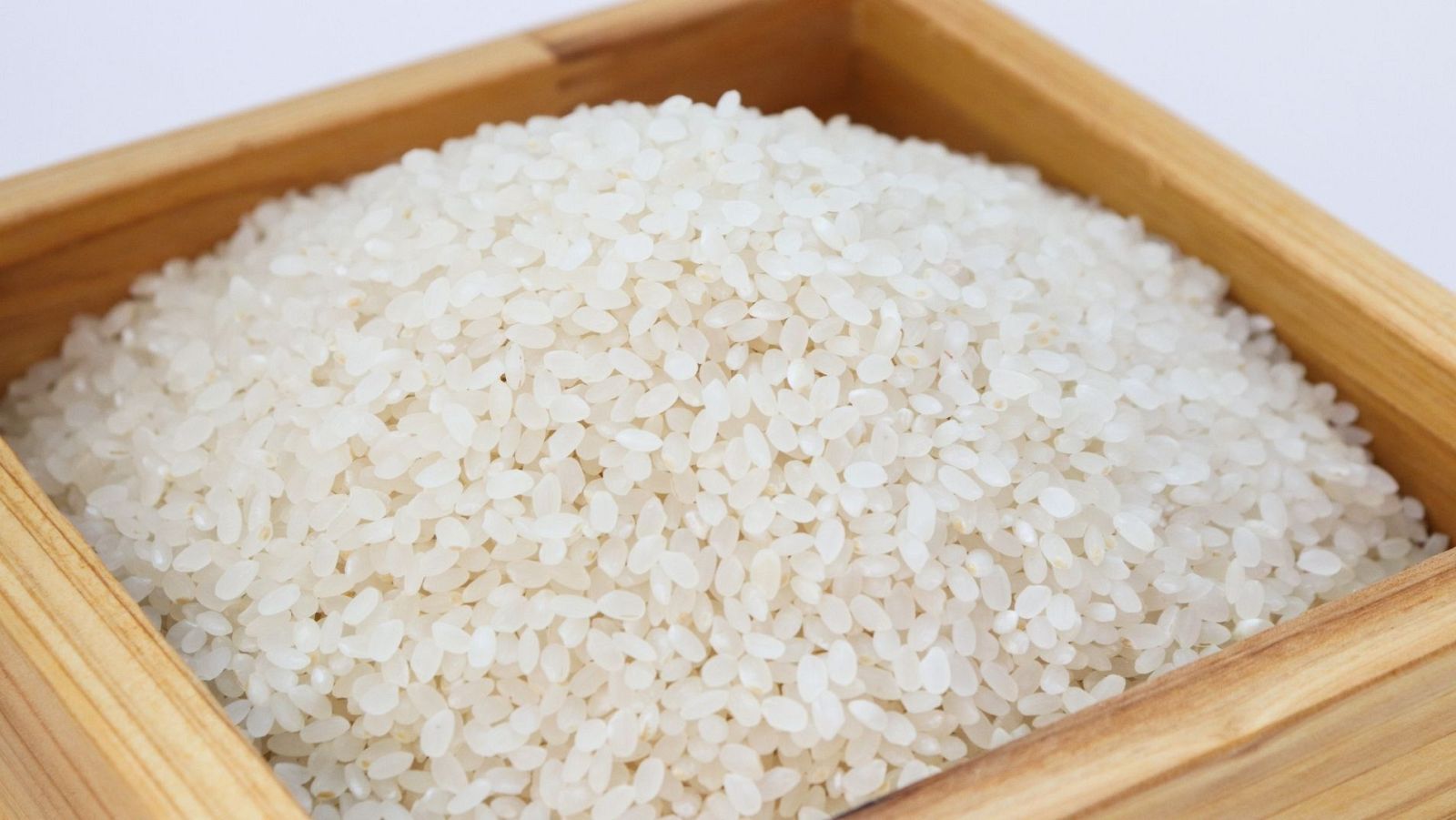El almidón de arroz, una prometedora alternativa al uso de plásticos