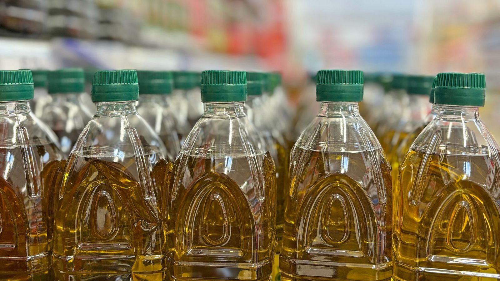 COAG denuncia ante la CNMC una "manipulación de precios" en el aceite de oliva que supondría pérdidas millonarias