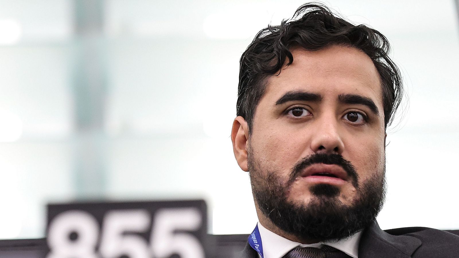 Luis Alvise Pérez, líder de SALF, en el Parlamento Europeo