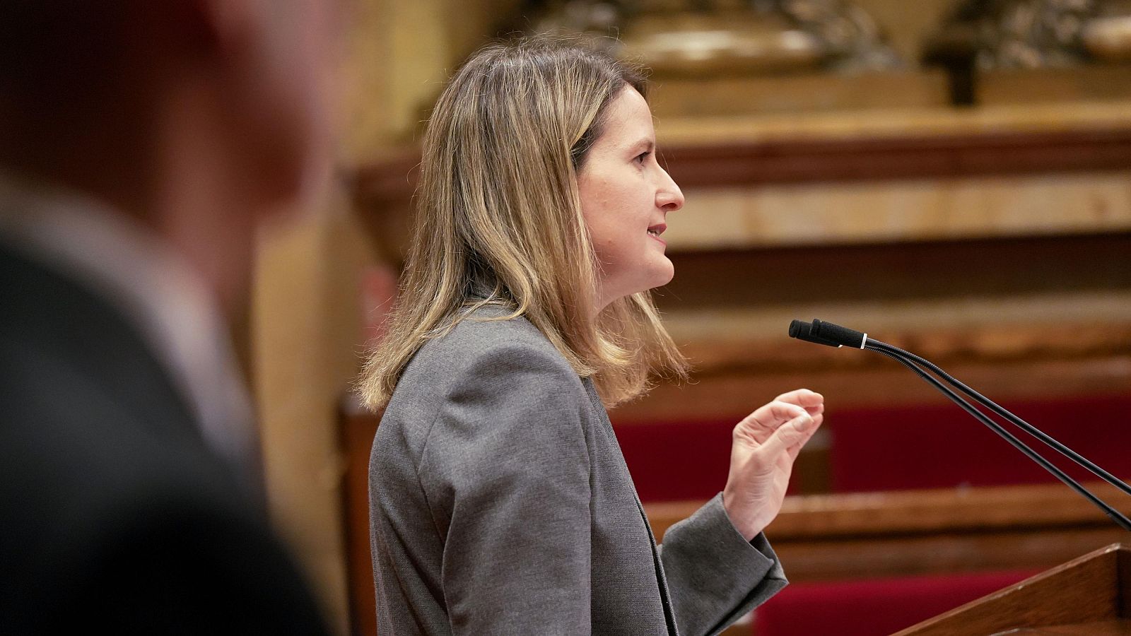 La consellera de Drets Socials, Mònica Martínez Bravo, intervé al ple del Parlament